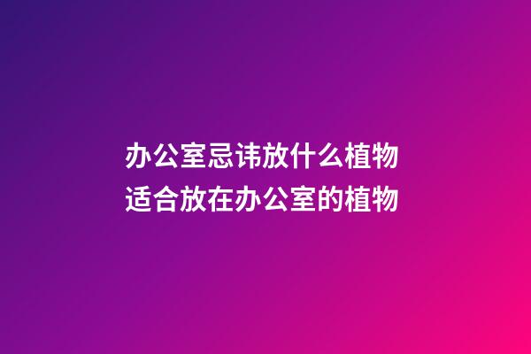 办公室忌讳放什么植物 适合放在办公室的植物